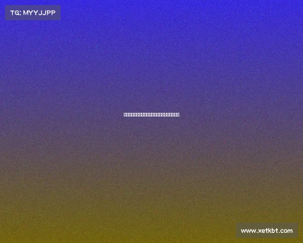 球队新赛季目标明确主帅携新援全力冲击冠军荣耀